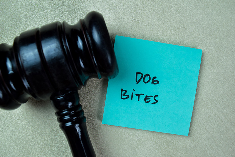 Dog Bite Attorney Corning CA